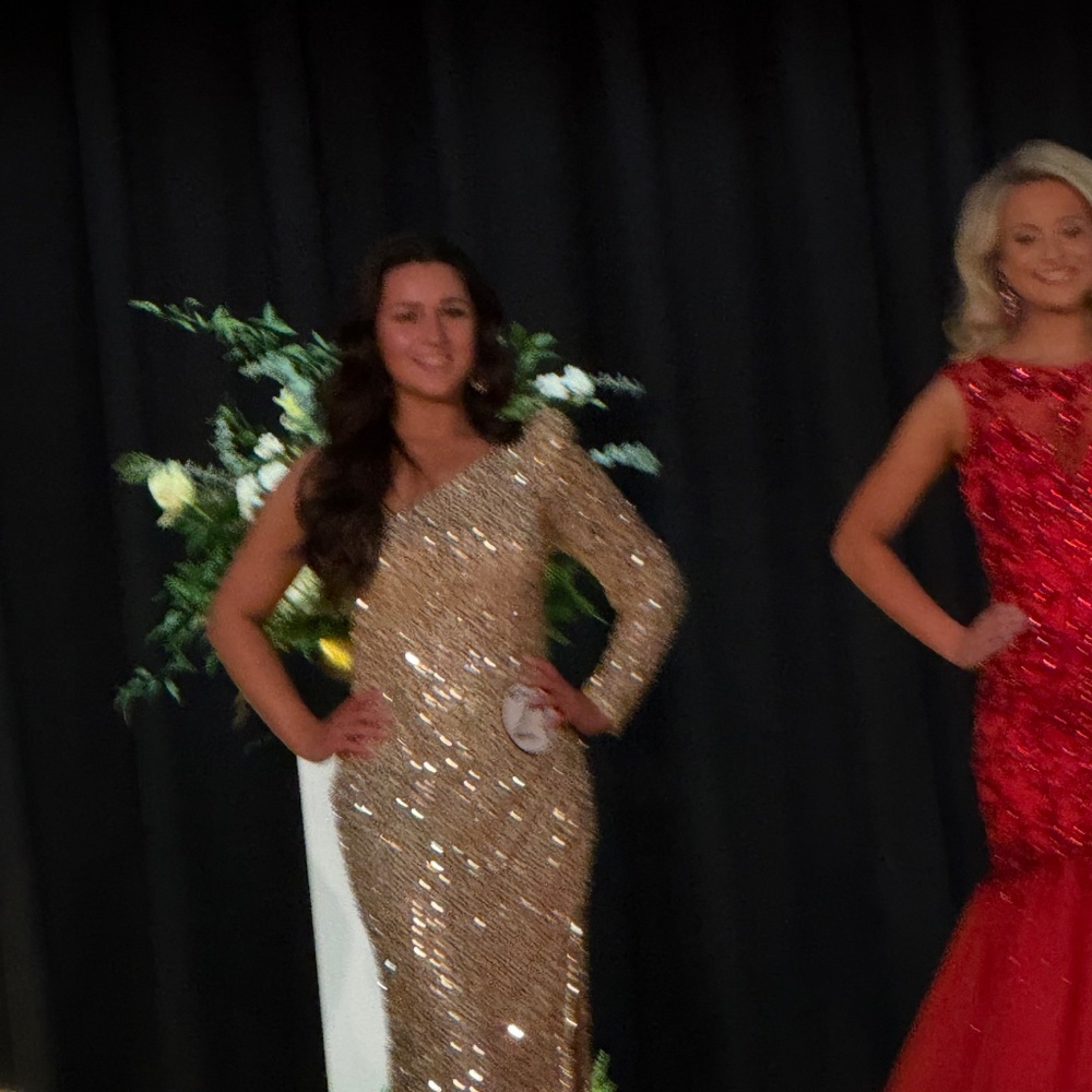 Pageant dress - Picture 3 of 3